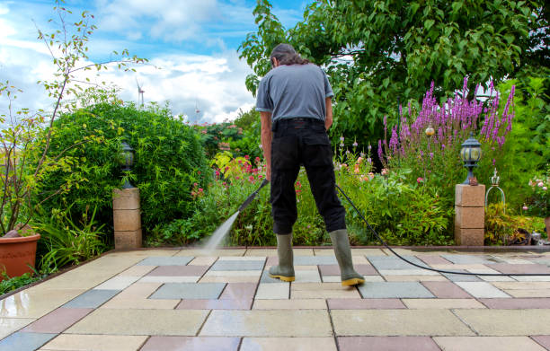 Best Animal Enclosure Cleaning  in Willow Springs, MO